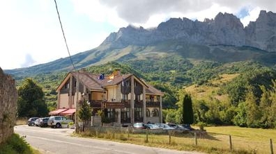 SE BUSCA CAMARERO/A