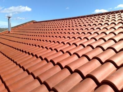 OFICIAL CONSTRUCCIÓN