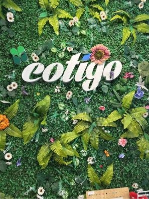 Cotigo
