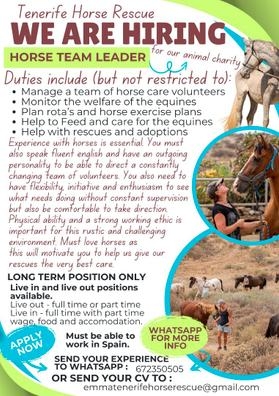 Horse Team Leader