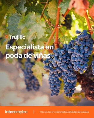 ESPECIALISTA EN PODA TRUJILLO