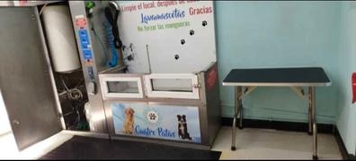 autolavado de mascotas