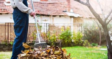 Mantenimiento de piscinas y jardines