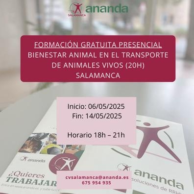 CURSO BIENESTAR ANIMAL (20 HORAS)