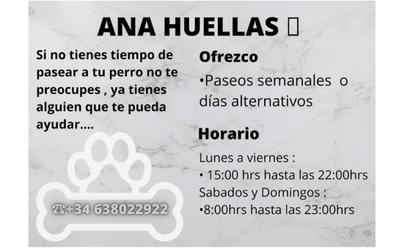 Paseo de perros en Lugo | Horario amplio