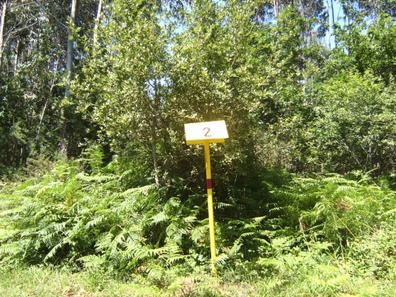 Peón forestal Bilbao