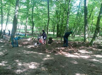 ofrezco empleo en el campo