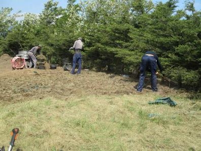 ofrezco empleo en el campo