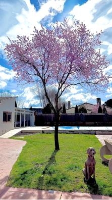 limpieza y mantenimiento