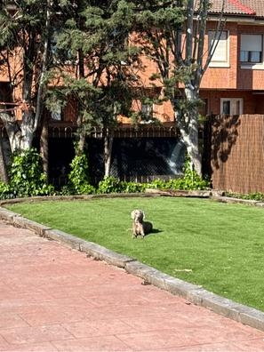 limpieza y mantenimiento