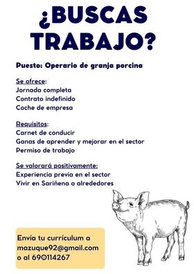 Buscamos operario para granja porcina
