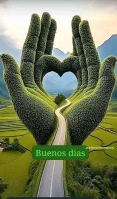 Se busca personal interna