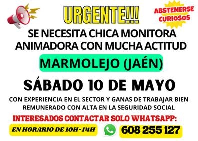 MONITORA ANIMADORA INFANTIL
