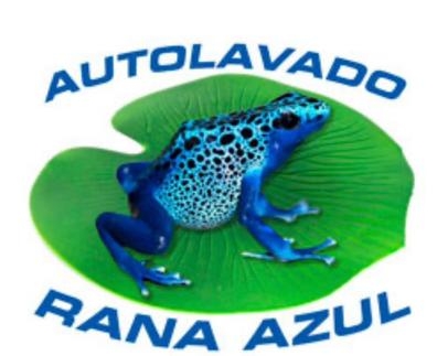 Se necesita limpiador de coches