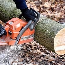 Motoserrista forestal