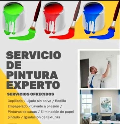 pintor profesional