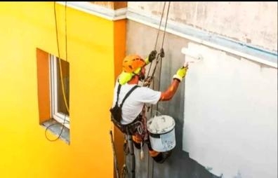 pintor profesional