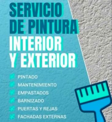 pintor profesional