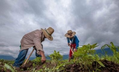 PERSONAL PARA TRABAJAR EN CAMPO