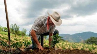 PERSONAL PARA TRABAJAR EN CAMPO