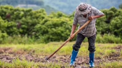 PERSONAL PARA TRABAJAR EN CAMPO