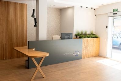 Higienista Dental