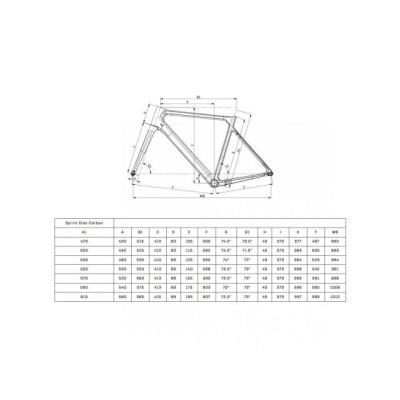 2025 Bianchi SPRINT - 105 Carbon Road Bike - light grey