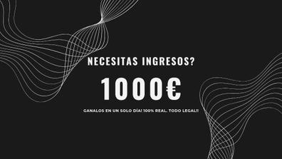 1000€ en un día 100% real (inmobiliaria)