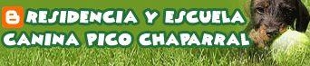Mantenimiento residencia canina