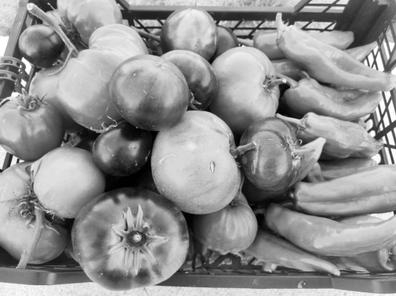 cocinero/a  con experiencia