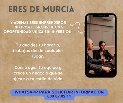 Franquiciador de plataformas digitales
