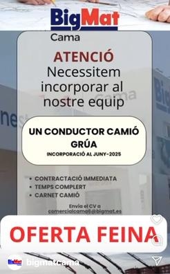 Chofer Camion pluma