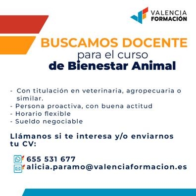 Docente de Bienestar Animal
