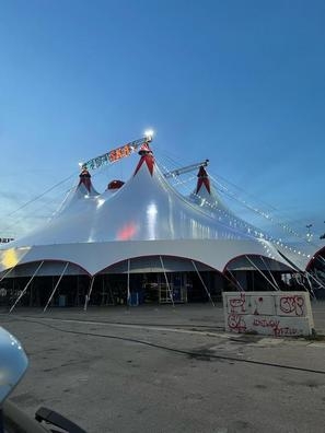 se busca chico para montar circo