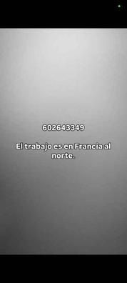 Emvasado de Frutas