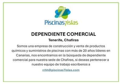 DEPENDIENTE COMERCIAL EN TIENDA