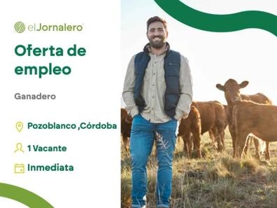 1 Ganadero - Pozoblanco (Cordoba)