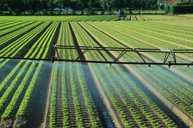 Tecnico en sistemas de riegos agricolas