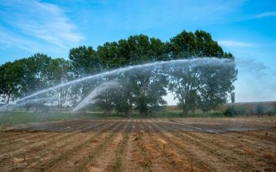 Tecnico en sistemas de riegos agricolas
