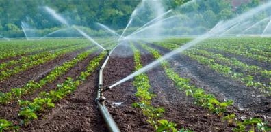 Tecnico en sistemas de riegos agricolas