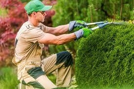 Jardinería y Mantenimiento