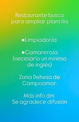Limpiador/a y Camarero/a