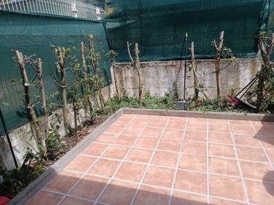Retirar setos y poner baldosas