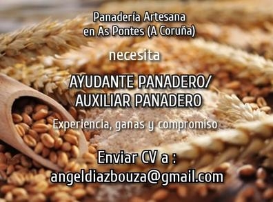 Ayudante Panadero