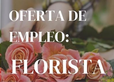Florista
