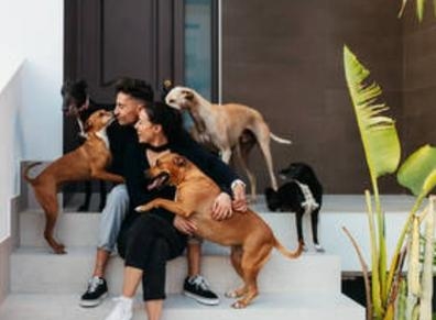 Cuidamos vivienda y mascotas