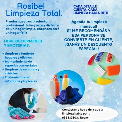 limpieza profesional