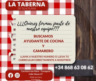 AYUDANTE DE COCINA Y CAMARERO