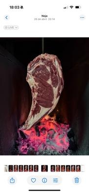 PARRILLERO CARNES /COCINA