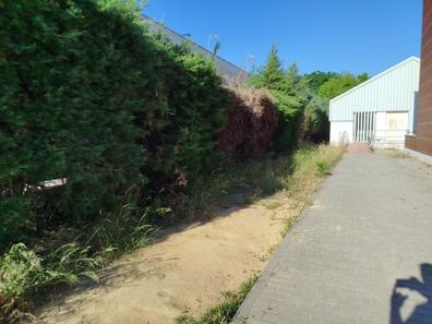 se busca jardinero con experiencia